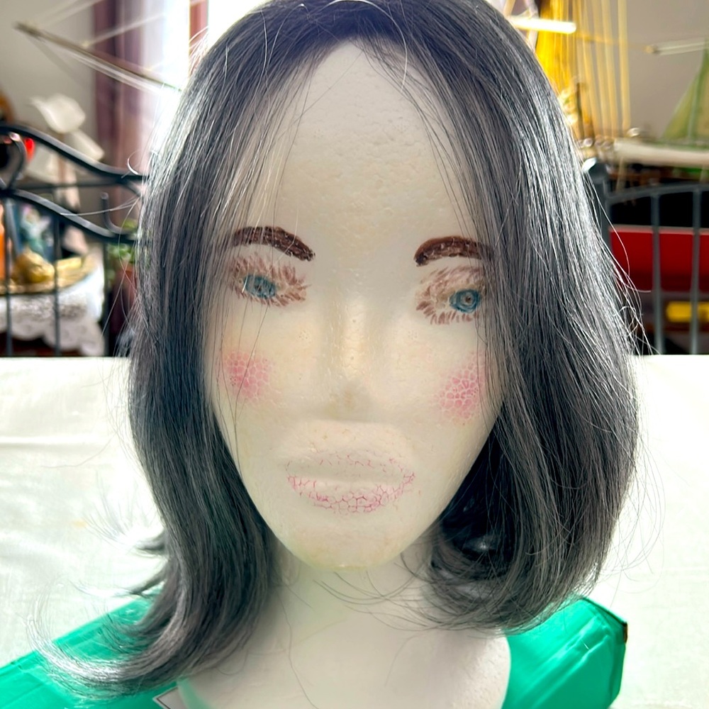 Nwot beautiful long silver/gray wig